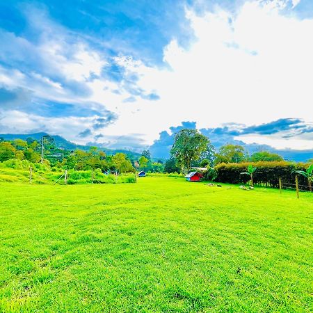 Ecoxplora-Zona De Camping Jardín Zewnętrze zdjęcie