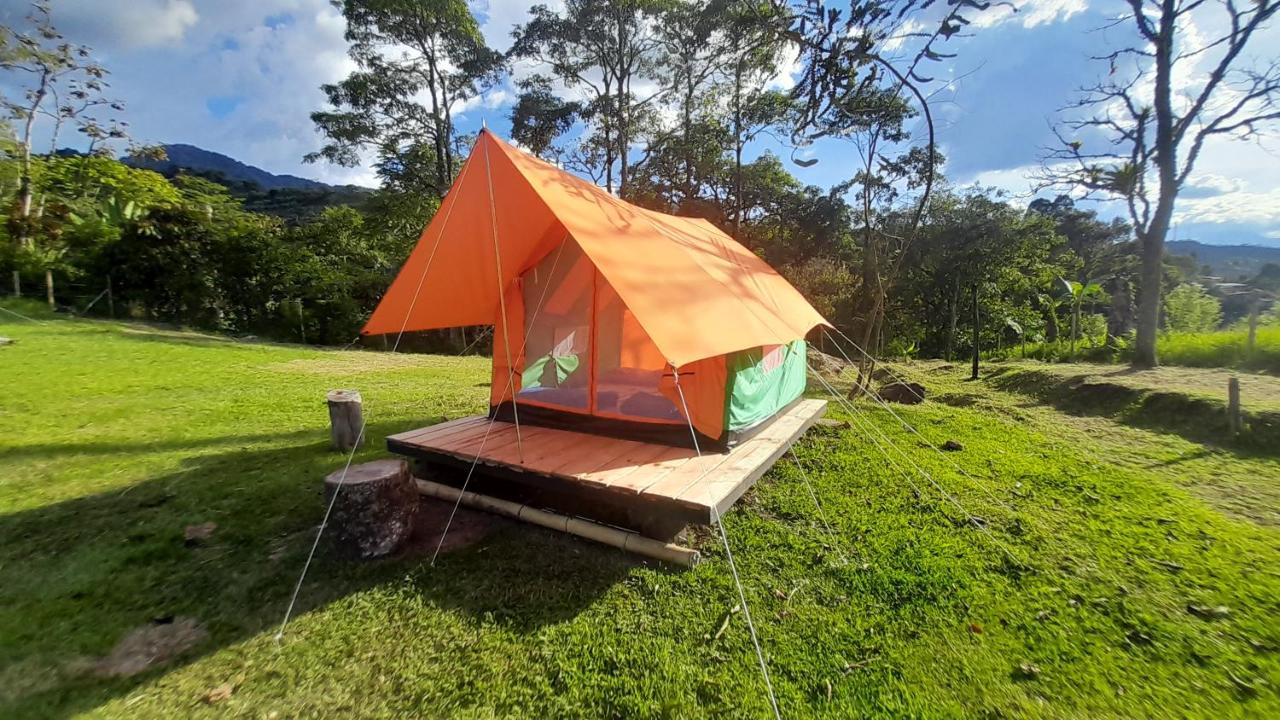 Ecoxplora-Zona De Camping Jardín Zewnętrze zdjęcie
