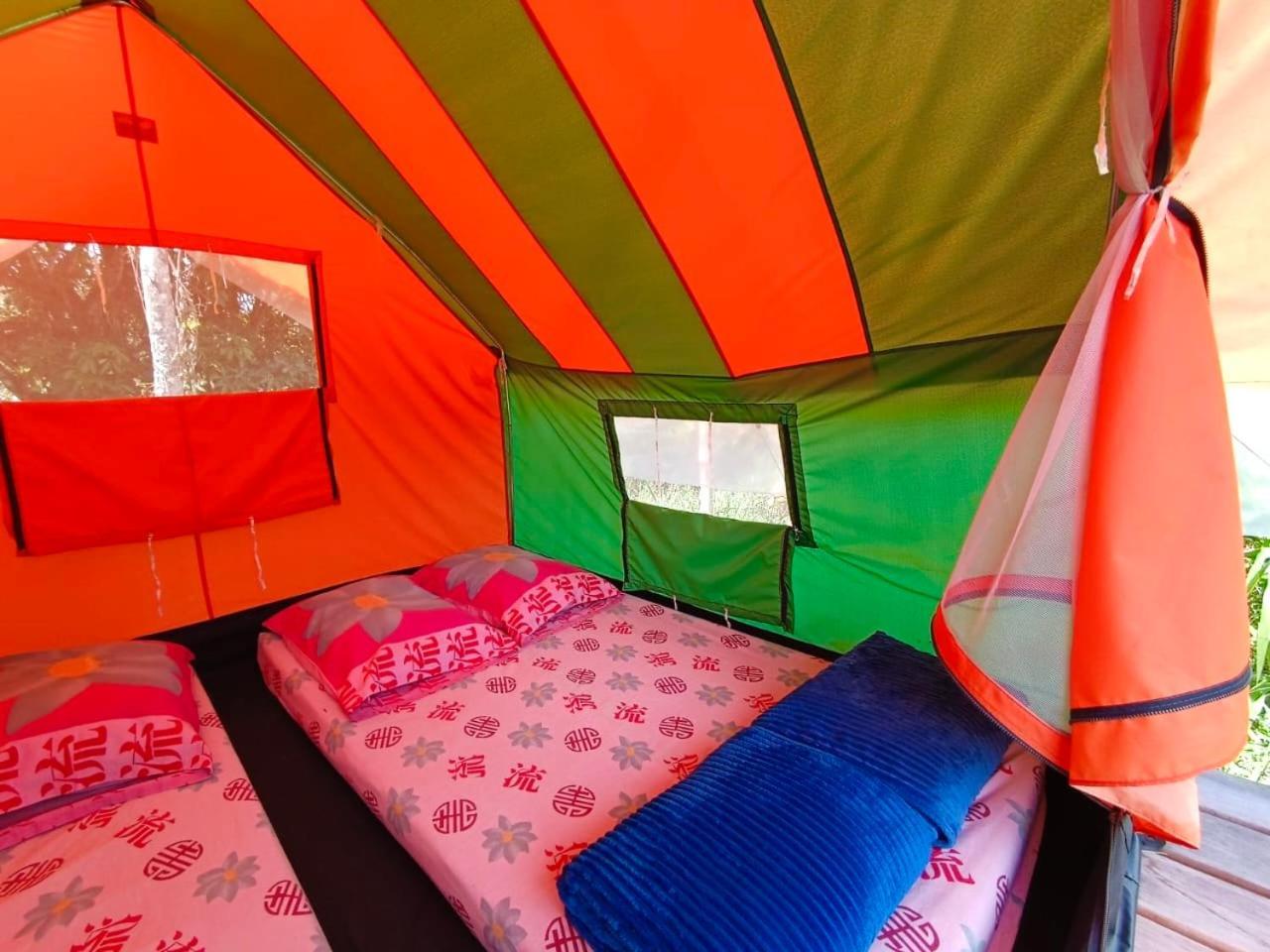 Ecoxplora-Zona De Camping Jardín Zewnętrze zdjęcie