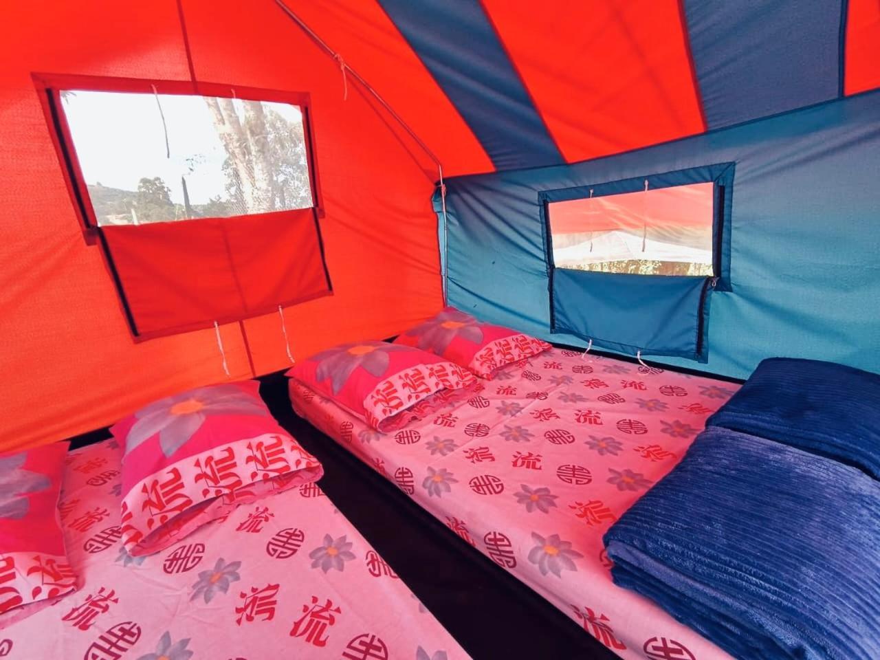 Ecoxplora-Zona De Camping Jardín Zewnętrze zdjęcie