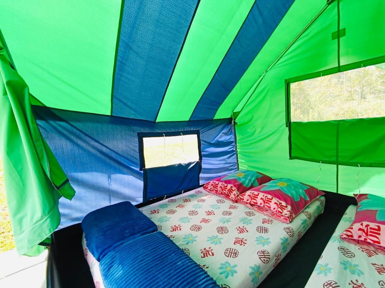 Ecoxplora-Zona De Camping Jardín Zewnętrze zdjęcie