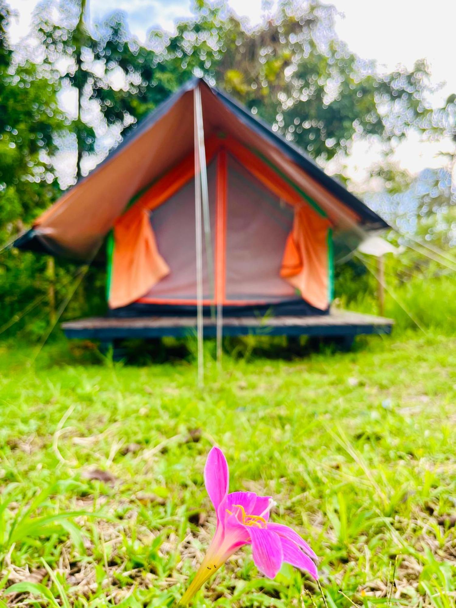 Ecoxplora-Zona De Camping Jardín Zewnętrze zdjęcie
