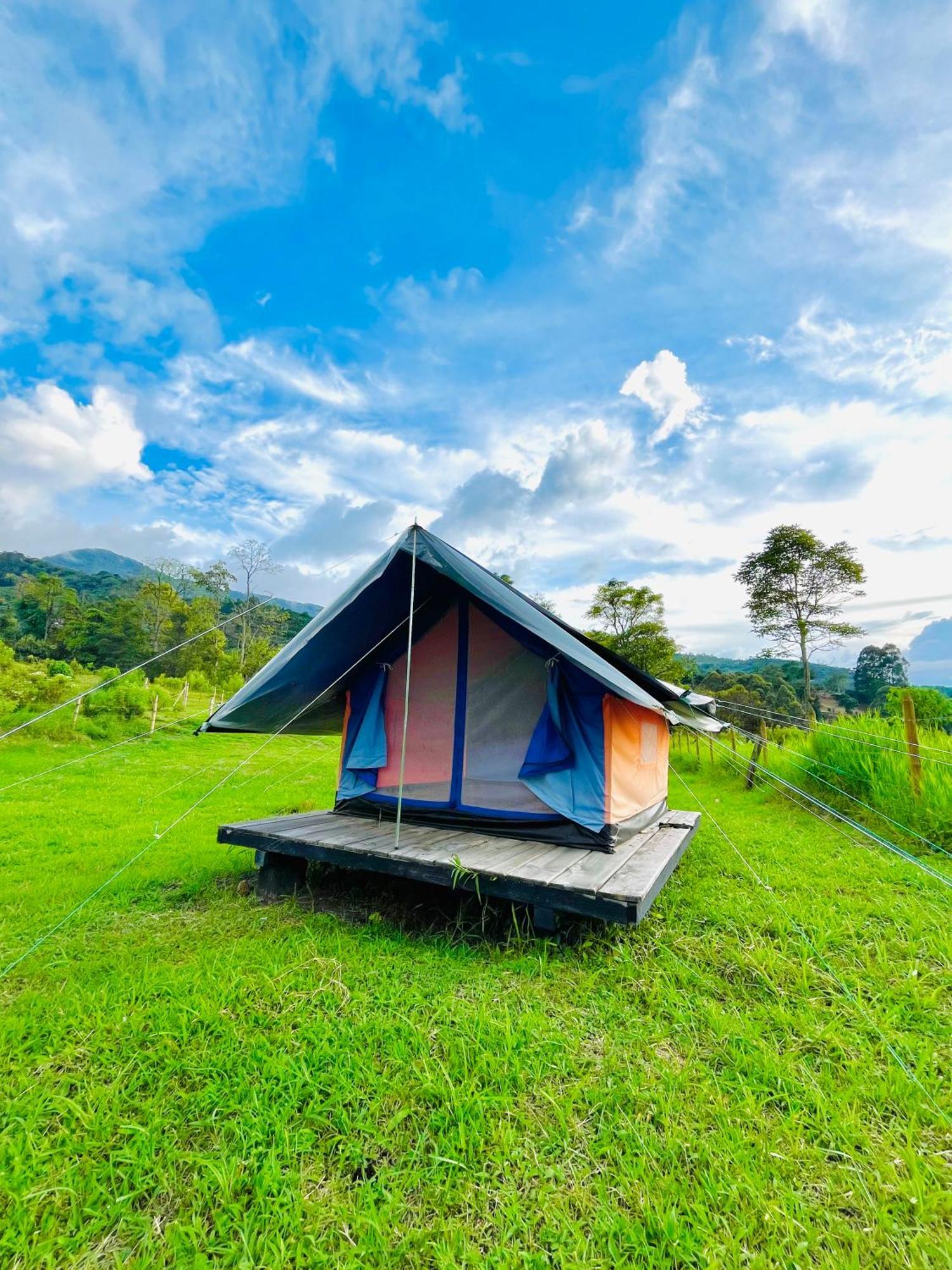Ecoxplora-Zona De Camping Jardín Zewnętrze zdjęcie