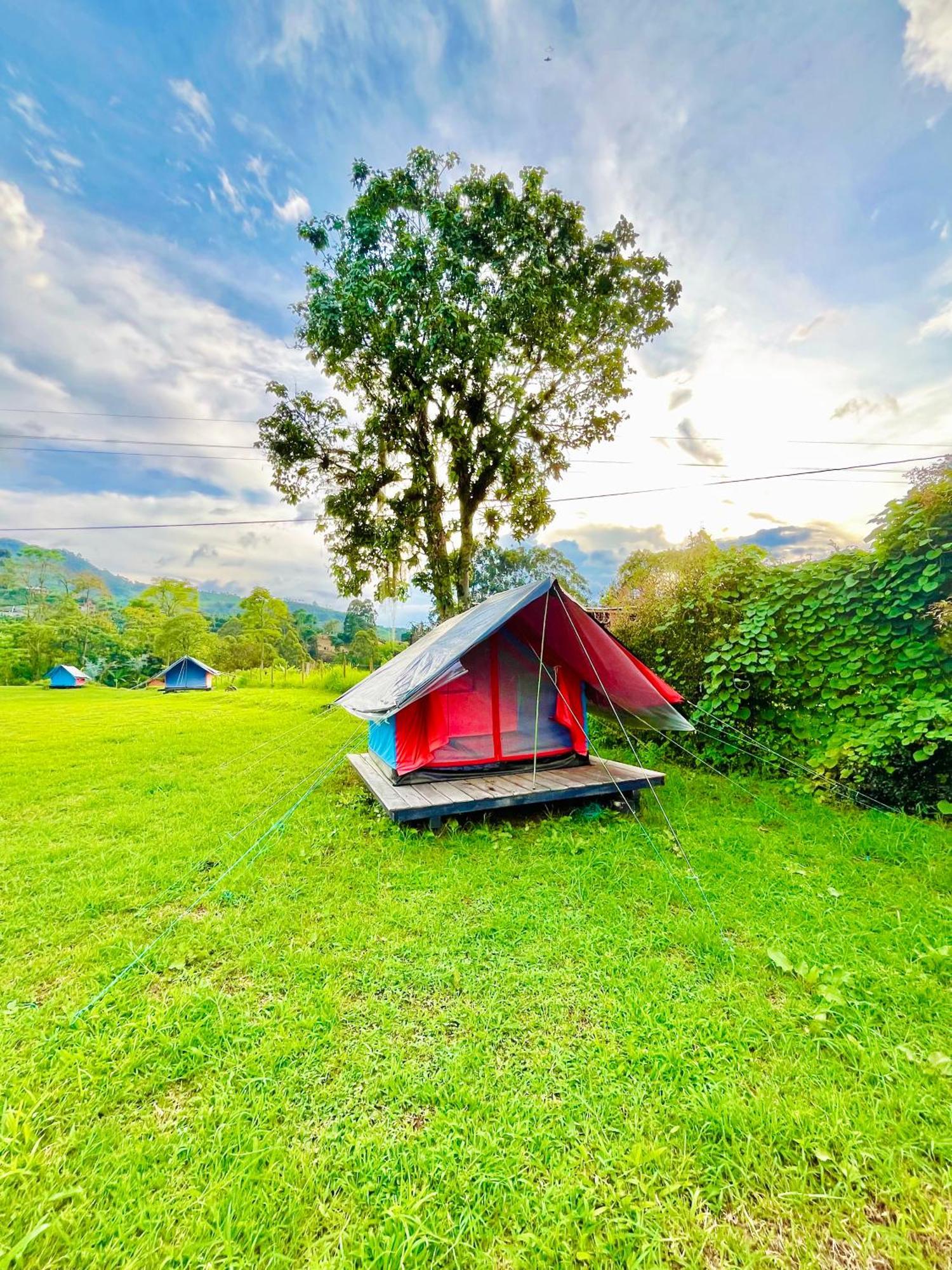 Ecoxplora-Zona De Camping Jardín Zewnętrze zdjęcie