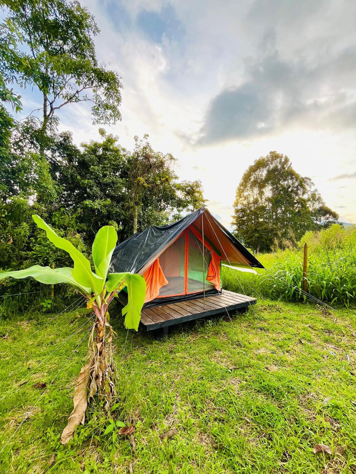 Ecoxplora-Zona De Camping Jardín Zewnętrze zdjęcie