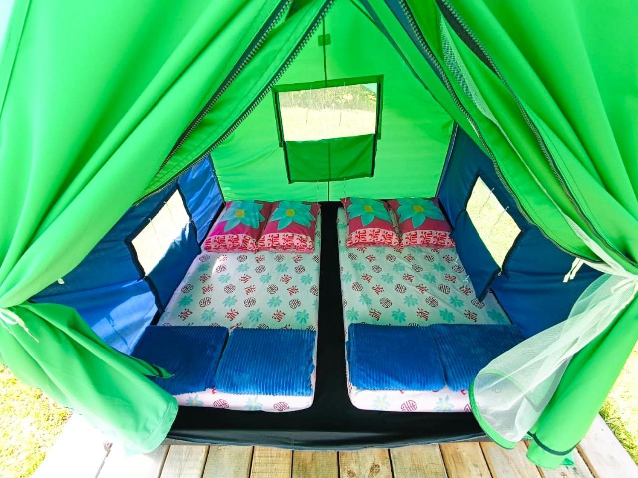 Ecoxplora-Zona De Camping Jardín Zewnętrze zdjęcie