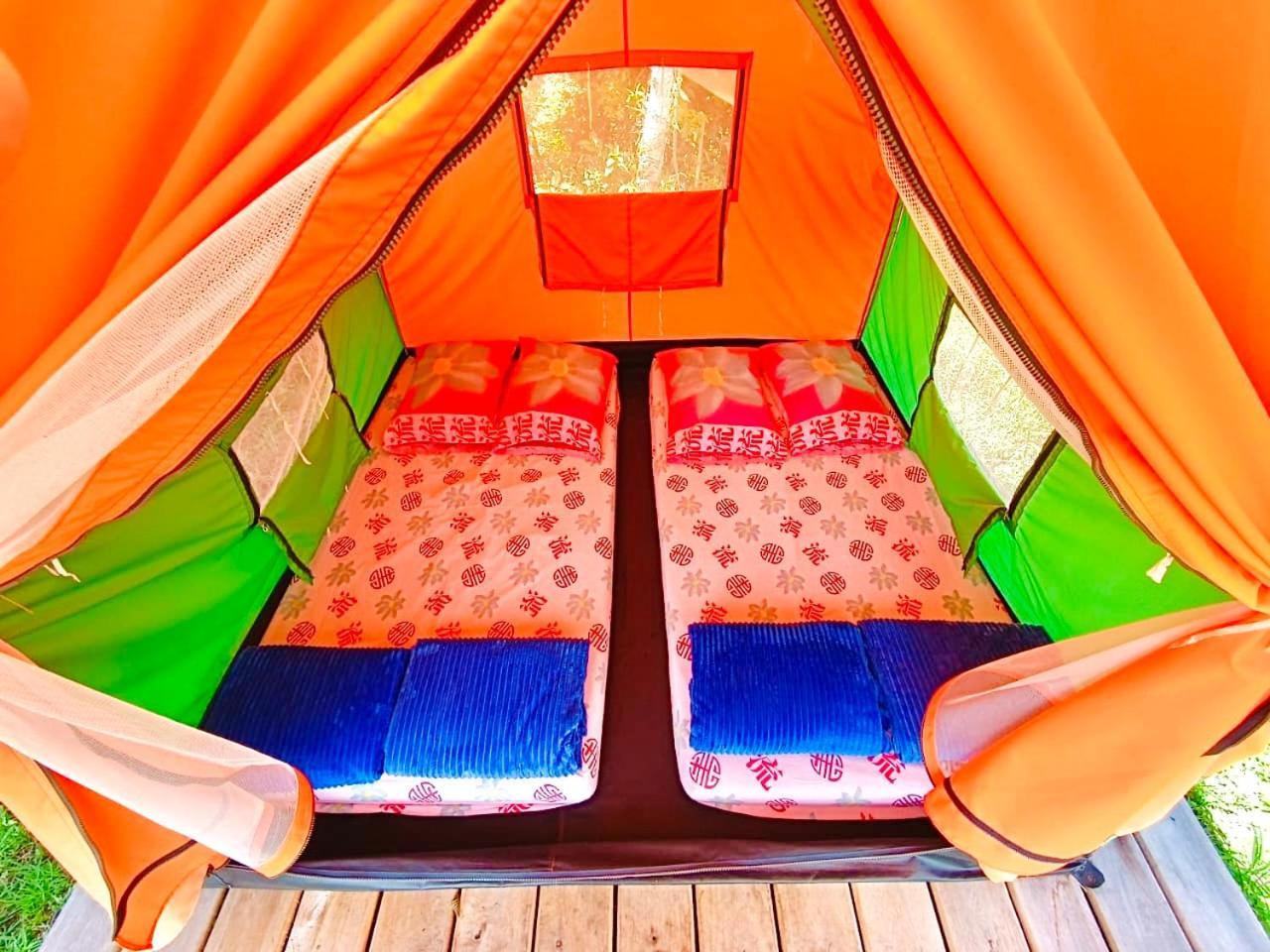 Ecoxplora-Zona De Camping Jardín Zewnętrze zdjęcie