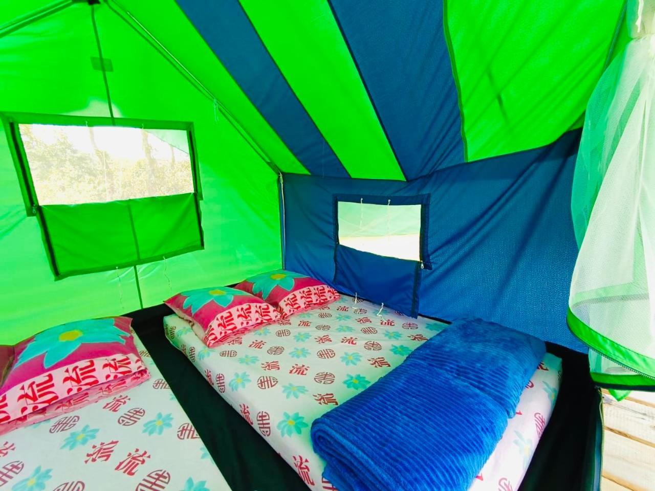 Ecoxplora-Zona De Camping Jardín Zewnętrze zdjęcie