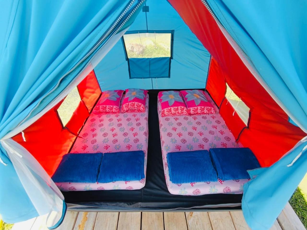 Ecoxplora-Zona De Camping Jardín Zewnętrze zdjęcie
