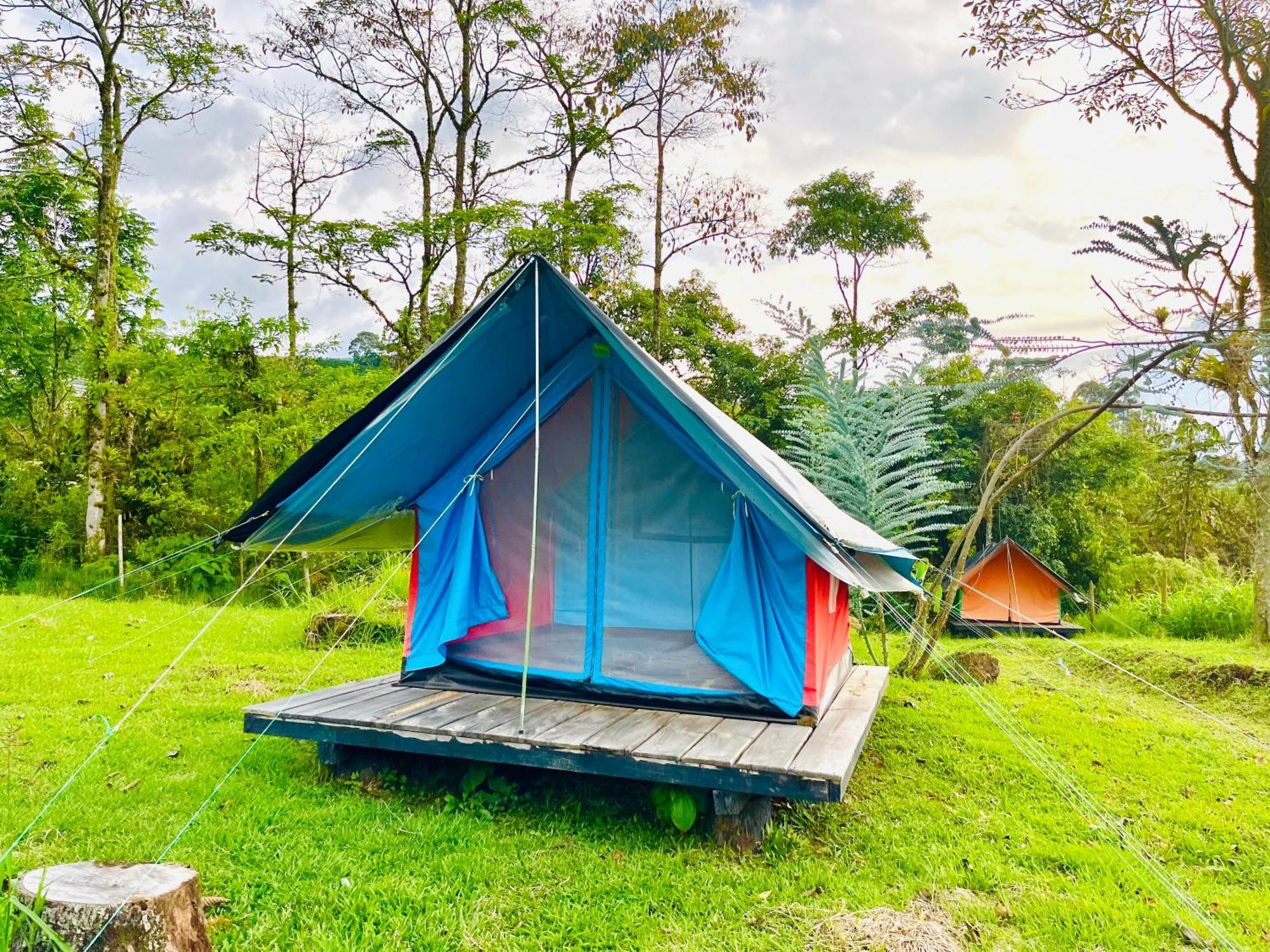 Ecoxplora-Zona De Camping Jardín Zewnętrze zdjęcie