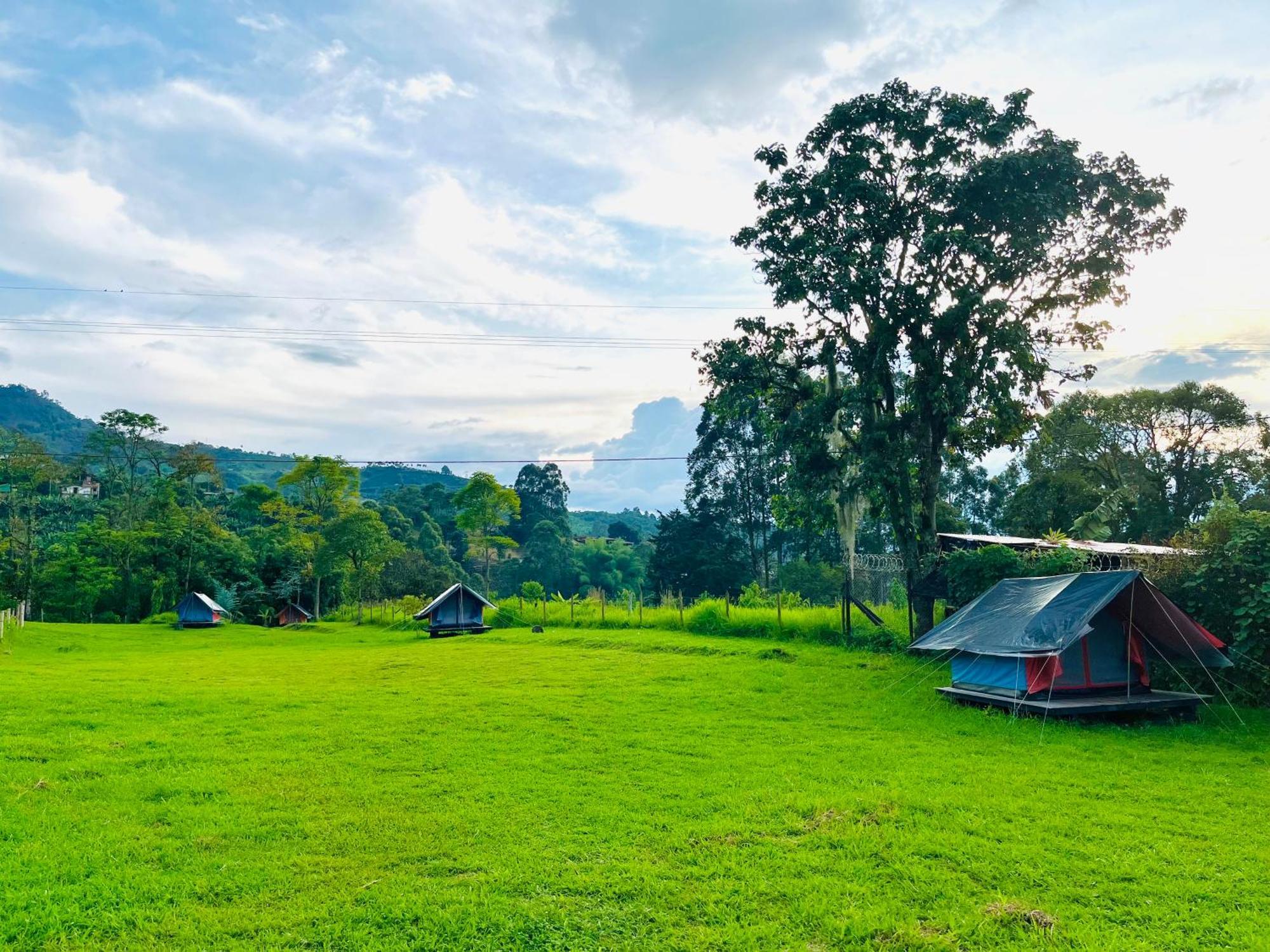 Ecoxplora-Zona De Camping Jardín Zewnętrze zdjęcie