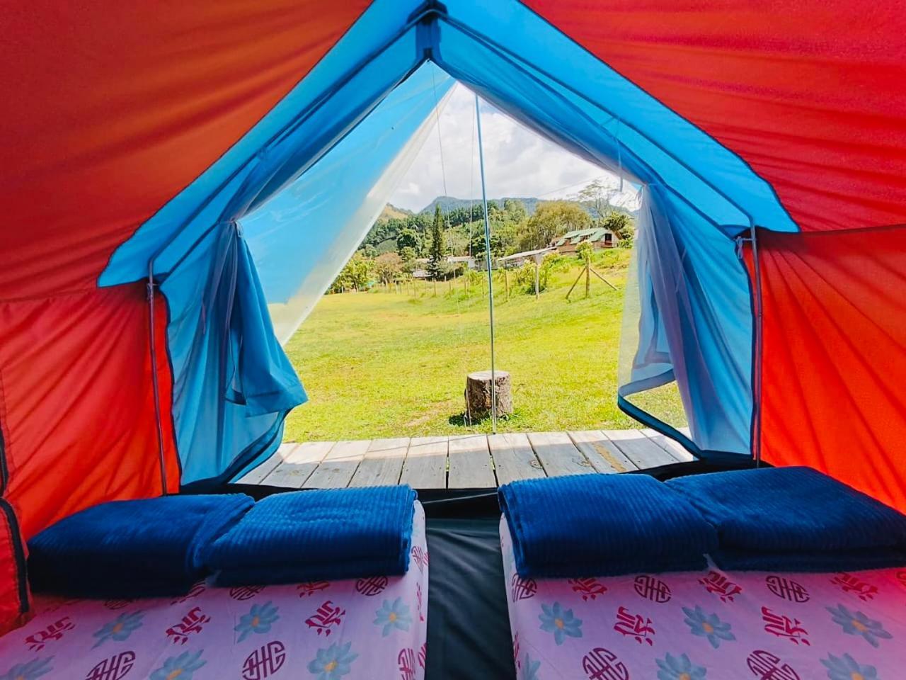 Ecoxplora-Zona De Camping Jardín Zewnętrze zdjęcie