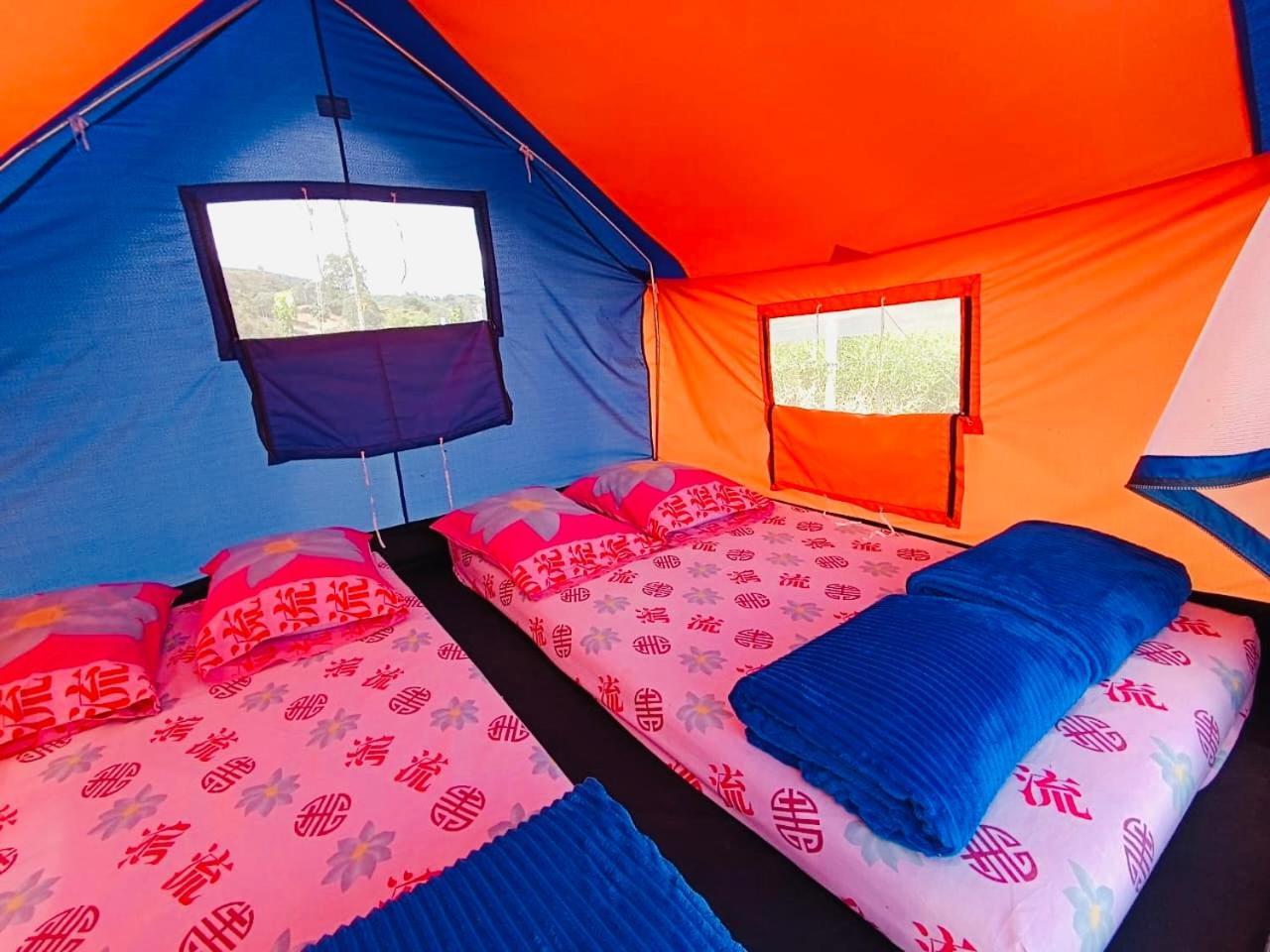 Ecoxplora-Zona De Camping Jardín Zewnętrze zdjęcie